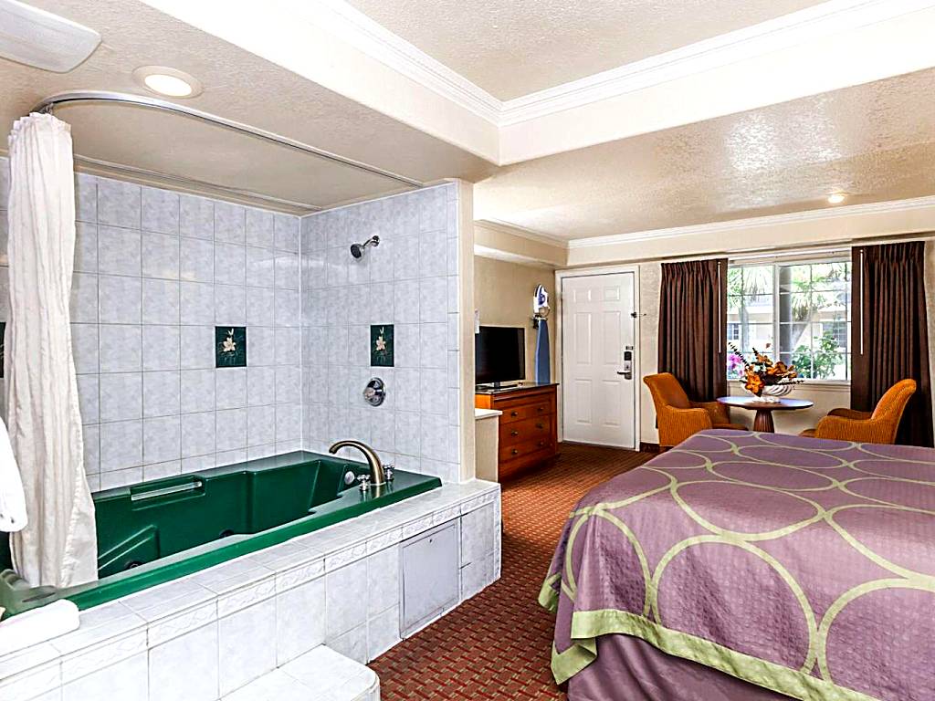 Hotel Rose Garden: Deluxe King Suite - Non-Smoking (San Jose)