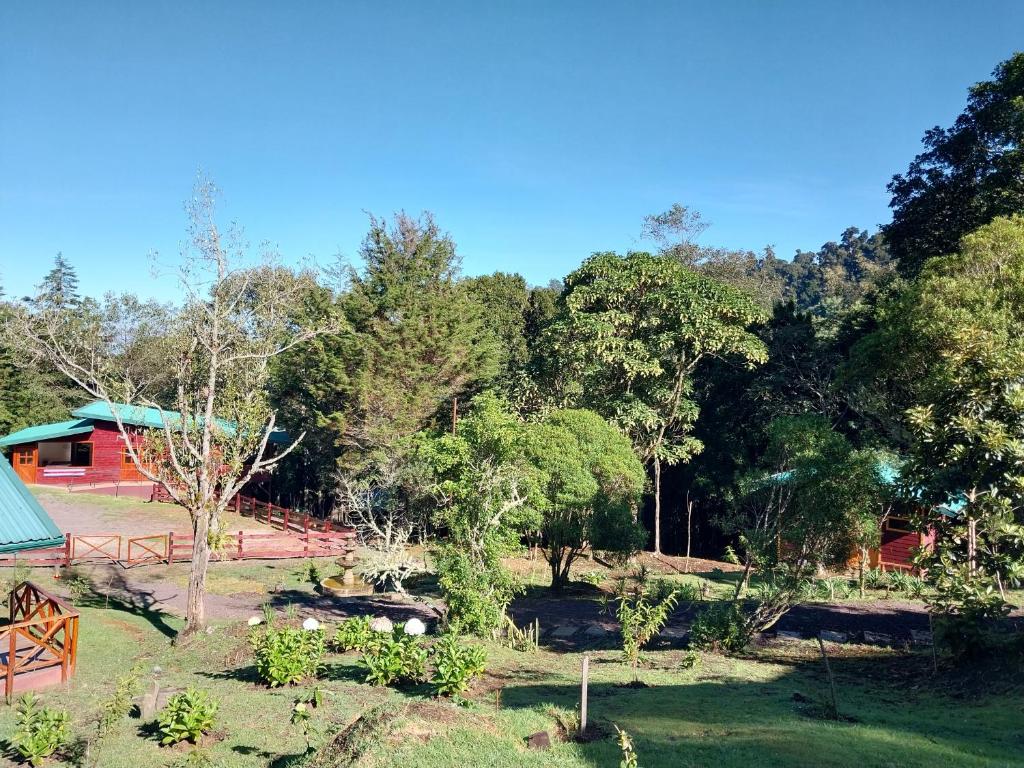 Curuba Lodge